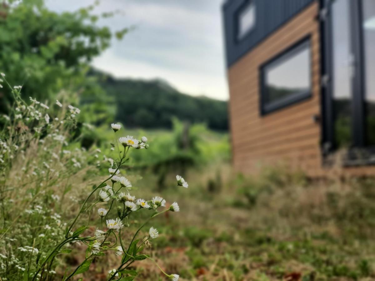 Pop Tiny House Balaton Apartment Kaptalantoti Luaran gambar